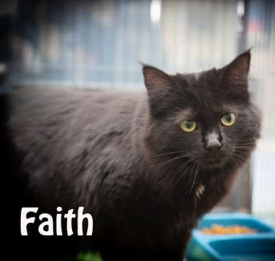 Photo of Faith