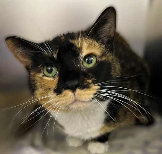 Photo of Bootsie 