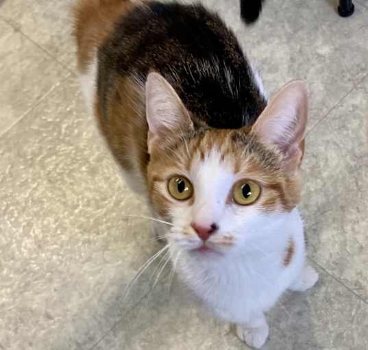 Photo of MAUDE