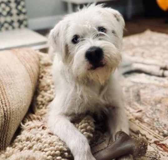 Photo of Terry