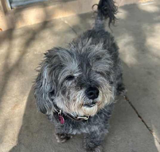 Photo of Missy