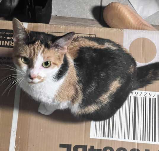 Photo of Maya