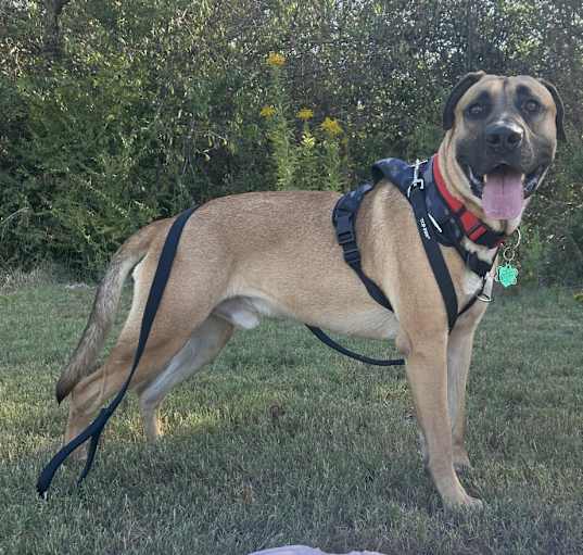 Photo of Gus