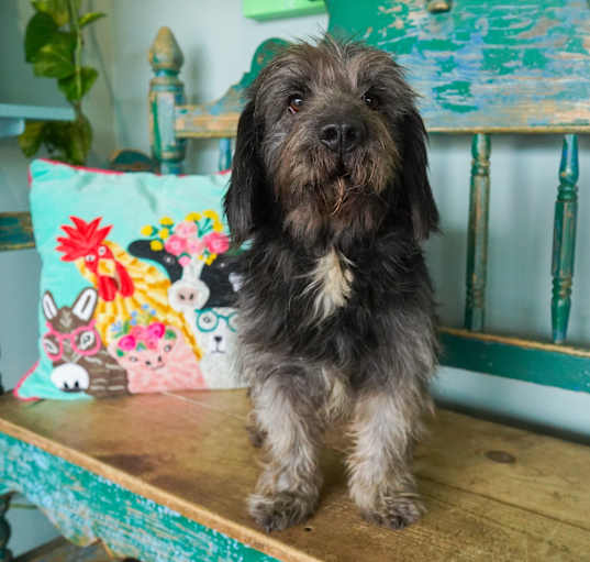 Photo of Cisco
