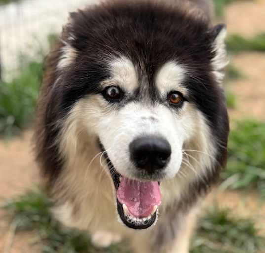 Photo of Rumble