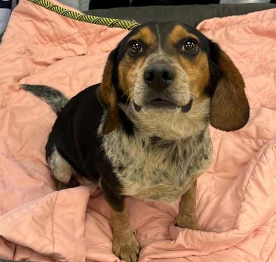 Photo of Buster