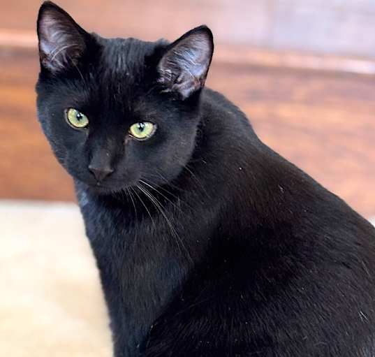 Photo of BOO