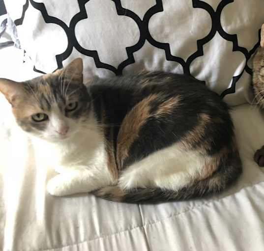 Photo of Lucy
