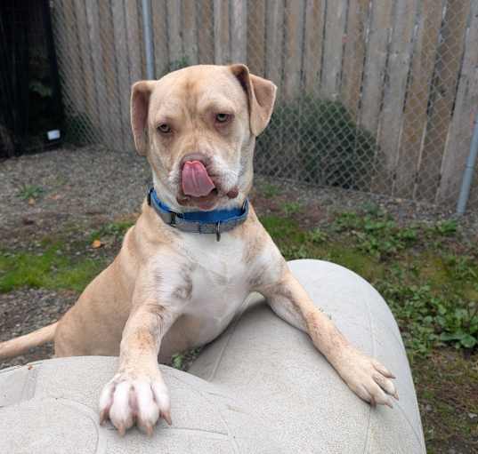 Photo of Cooper