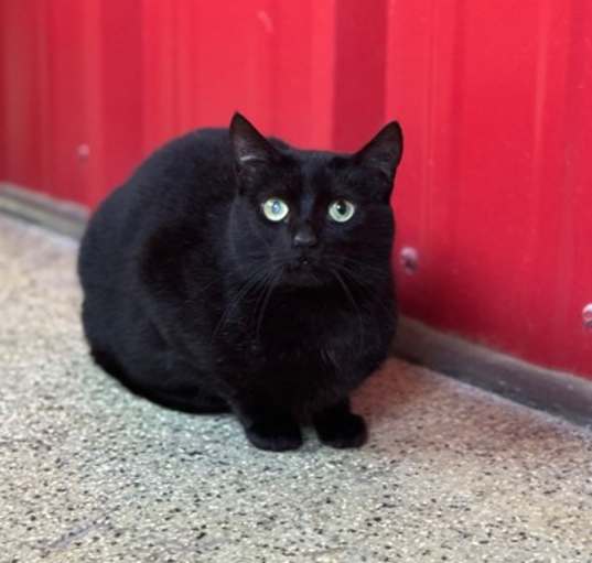 Photo of Duchess