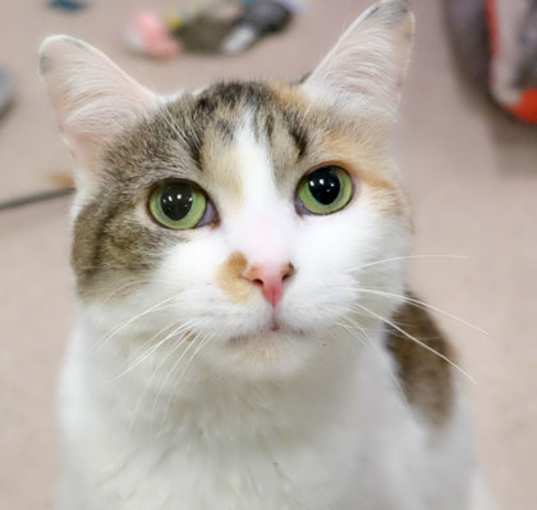 Photo of Jenny