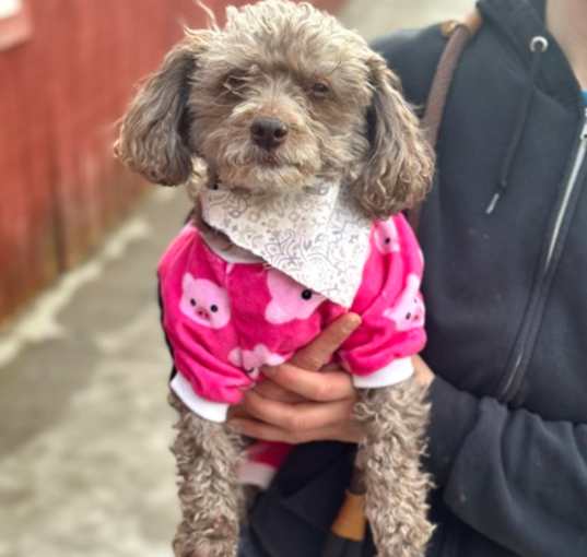 Photo of Miss Kali May