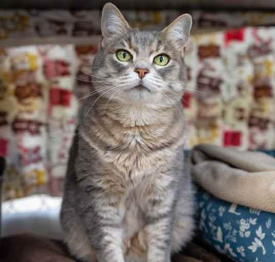 Photo of Mamacita
