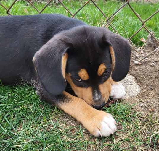 Photo of Maggie