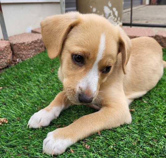 Photo of Ottis