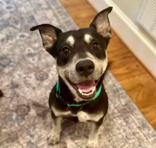 Photo of Ghost