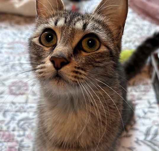 Photo of Valentina