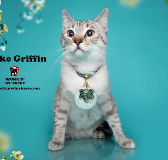 Photo of CLARKE GRIFFIN