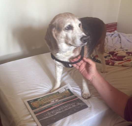 Photo of Buddy