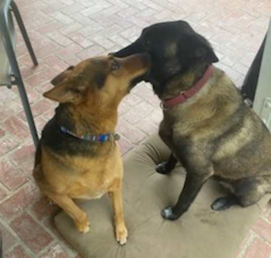 Photo of Wilson and Lotti