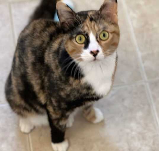 Photo of Fiona