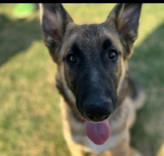 Photo of Major