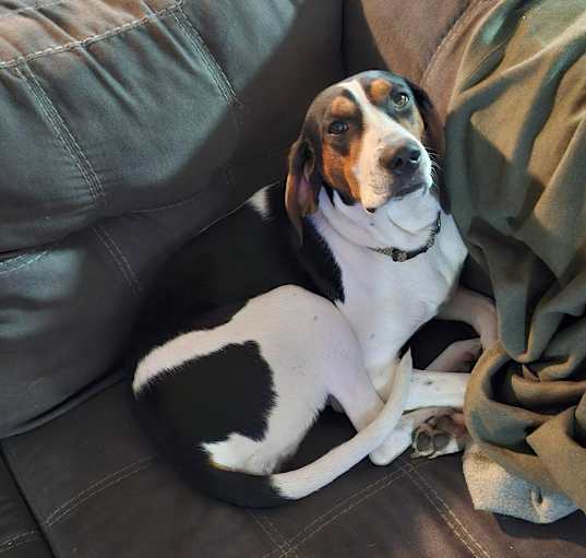Photo of Lucy