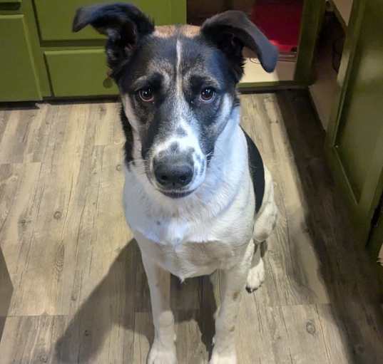 Photo of Fiona