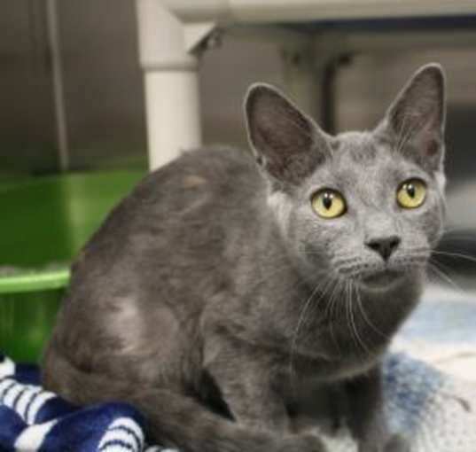 Photo of Luna