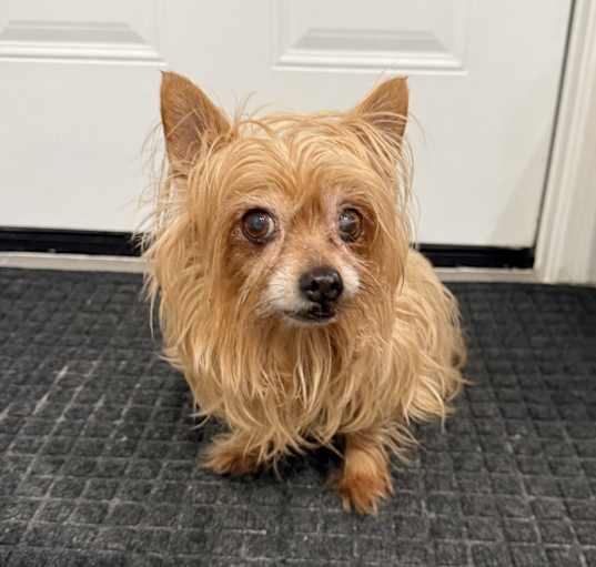 Photo of Mia