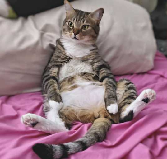 Photo of Bootsie