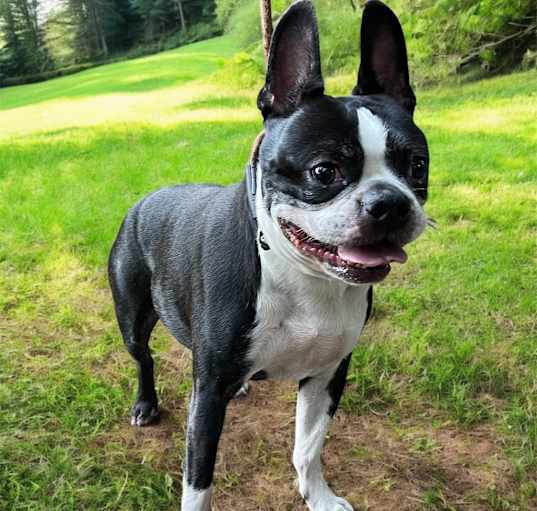 Photo of HENNY