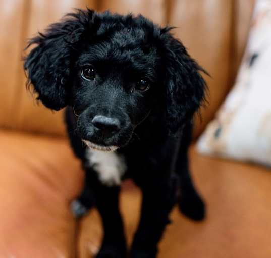 Photo of Mickey