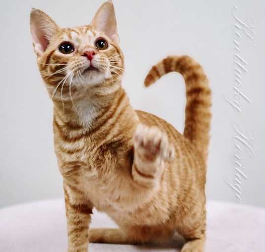 Photo of Eris