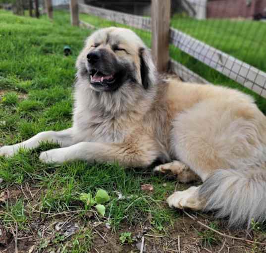 Photo of Miko Pyr