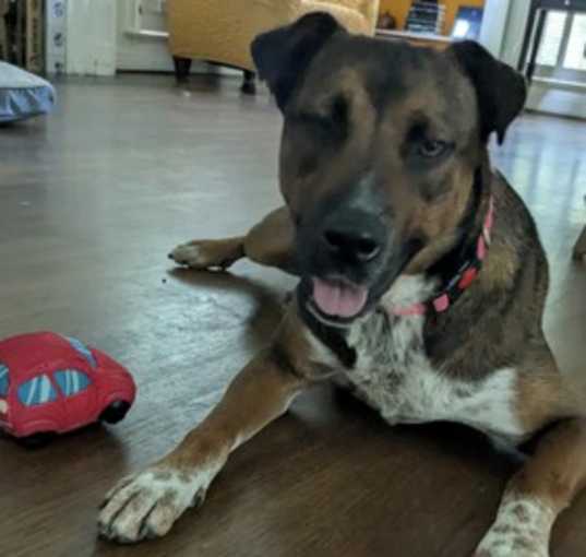 Photo of ECHO