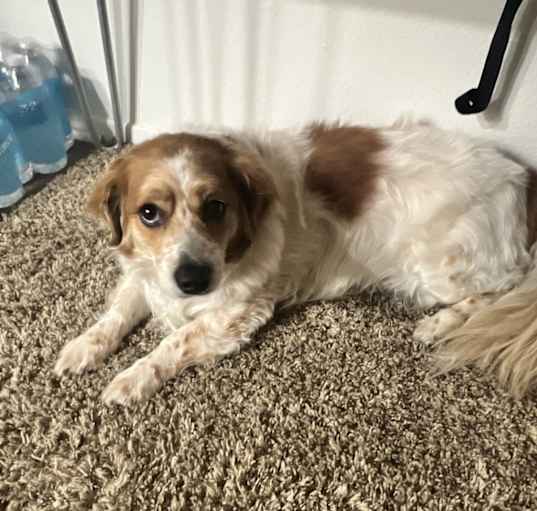 Photo of Teddy