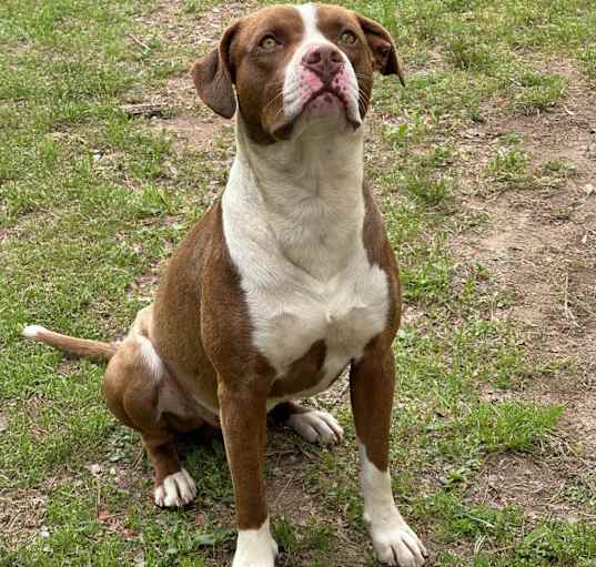 Photo of Big Boy