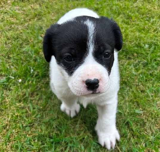 Photo of Sugar