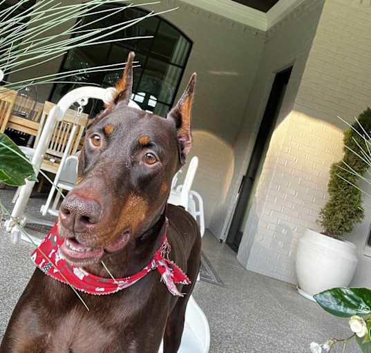 Photo of Duke