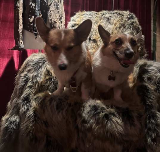 Photo of Ricky and Belle