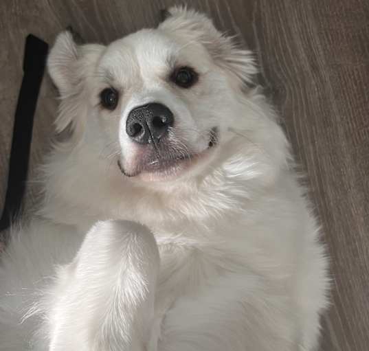 Photo of Anya