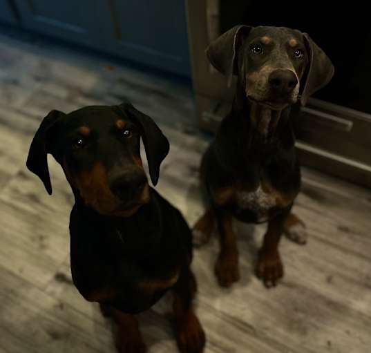Photo of Nami/Mortiz