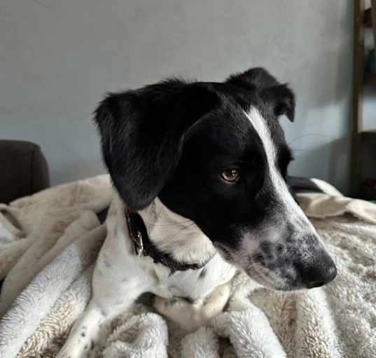 Photo of Coco