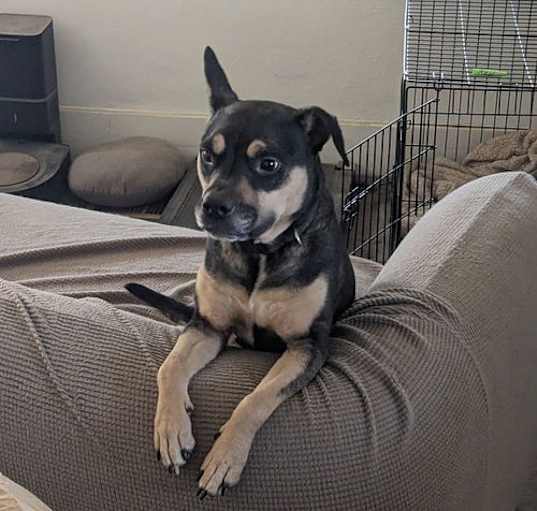 Photo of Lexi