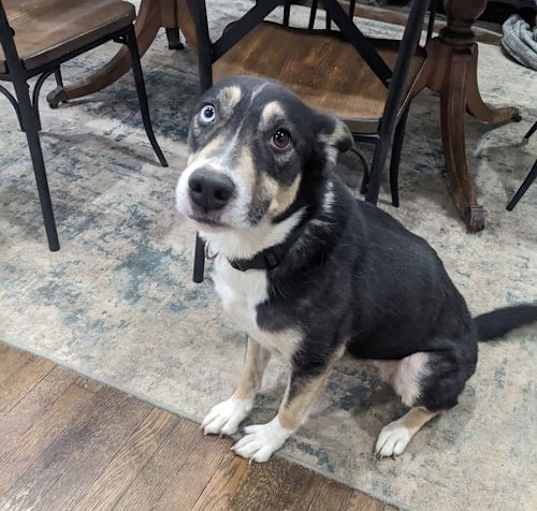Photo of Azul