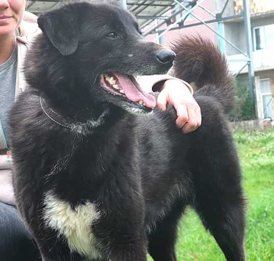Photo of Oda