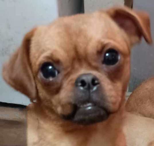 Photo of Pretty Girl