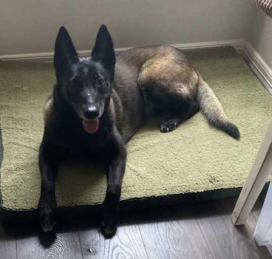 Photo of Maggie