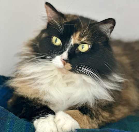 Photo of Nell
